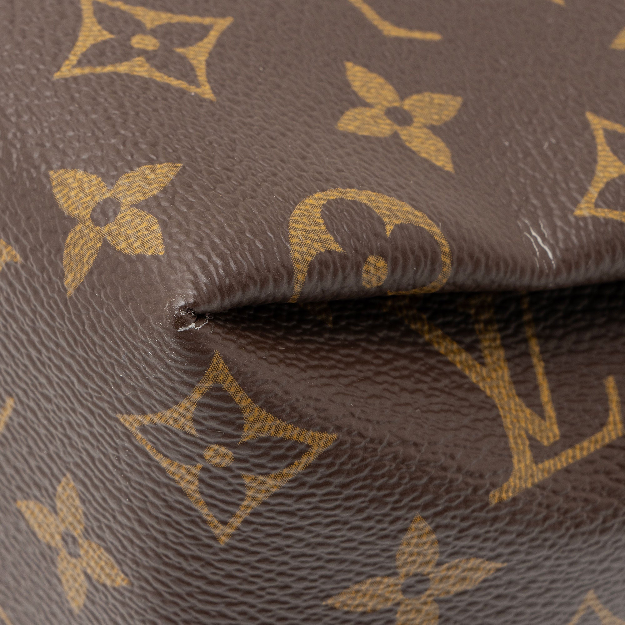 Louis Vuitton Monogram Canvas Pallas Beauty Clutch