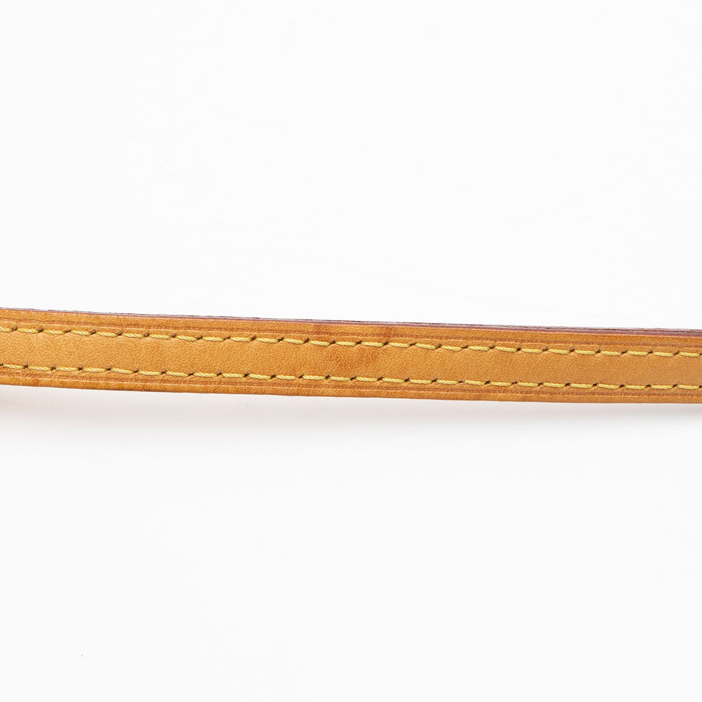 Louis Vuitton Monogram Canvas Pallas Clutch