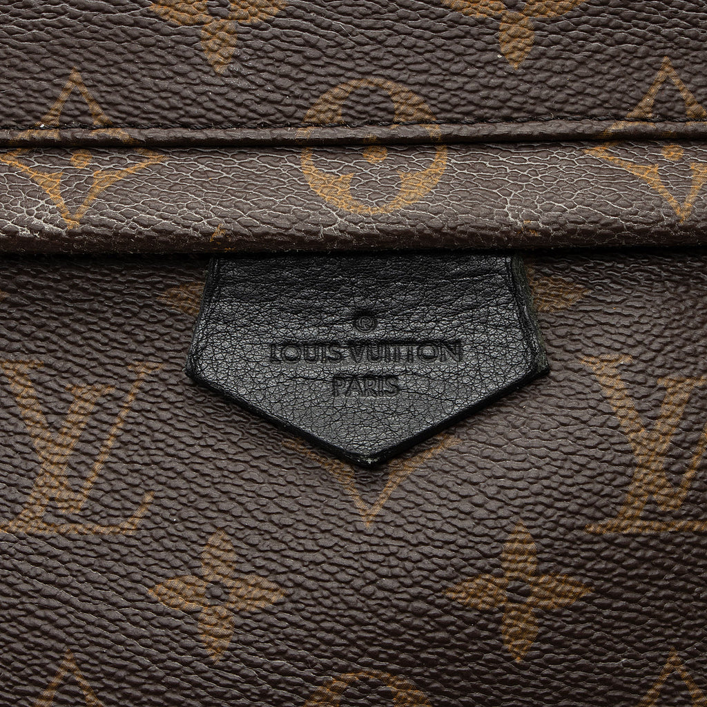 Louis Vuitton Monogram Canvas Palm Springs MM Backpack