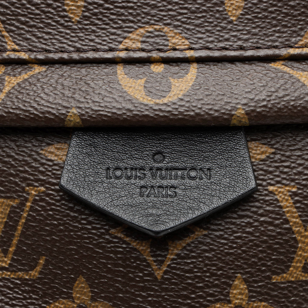 Louis Vuitton Monogram Canvas Palm Springs MM Backpack