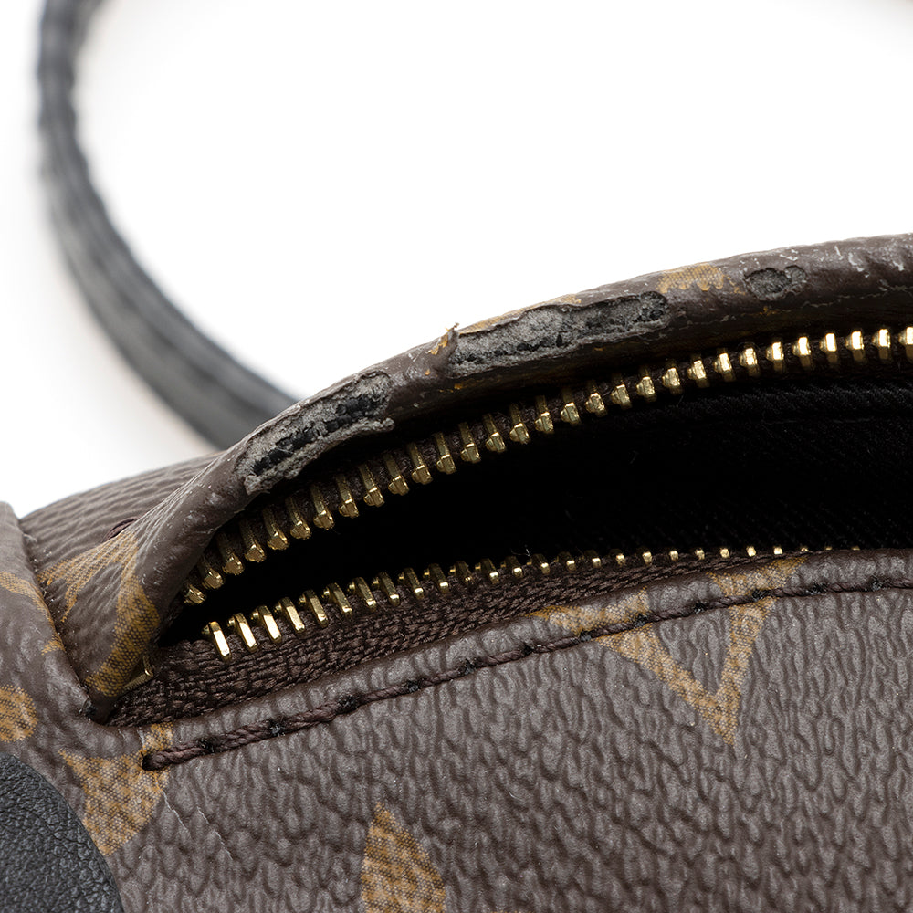 Louis Vuitton Monogram Canvas Palm Springs Mini Backpack (SHF-20573)