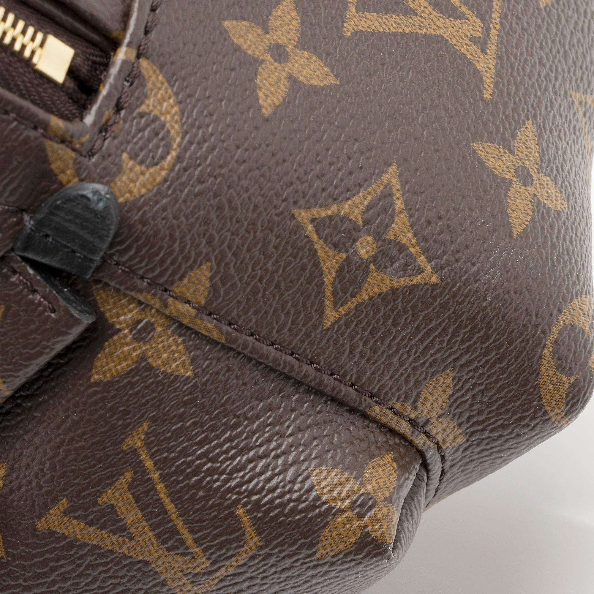 Louis Vuitton Monogram Canvas Palm Springs Mini Backpack (SHF-22308)