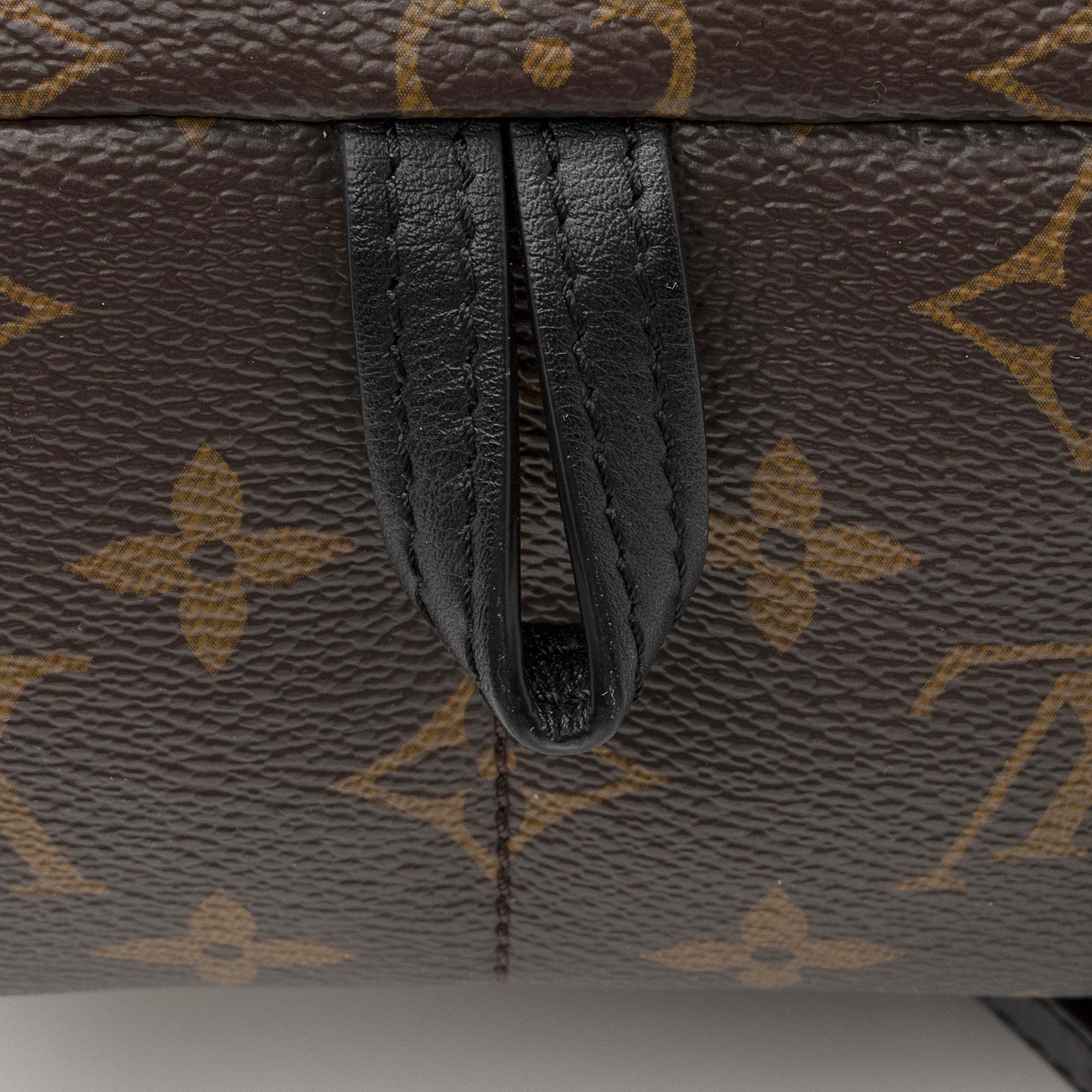 Louis Vuitton Monogram Canvas Palm Springs Mini Backpack (SHF-22308)