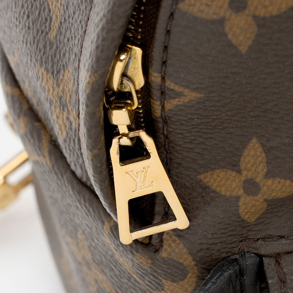 Louis Vuitton Monogram Canvas Palm Springs Mini Backpack