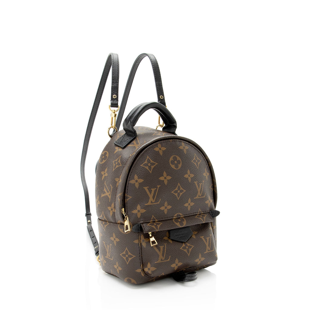 Louis Vuitton Monogram Canvas Palm Springs Mini Backpack