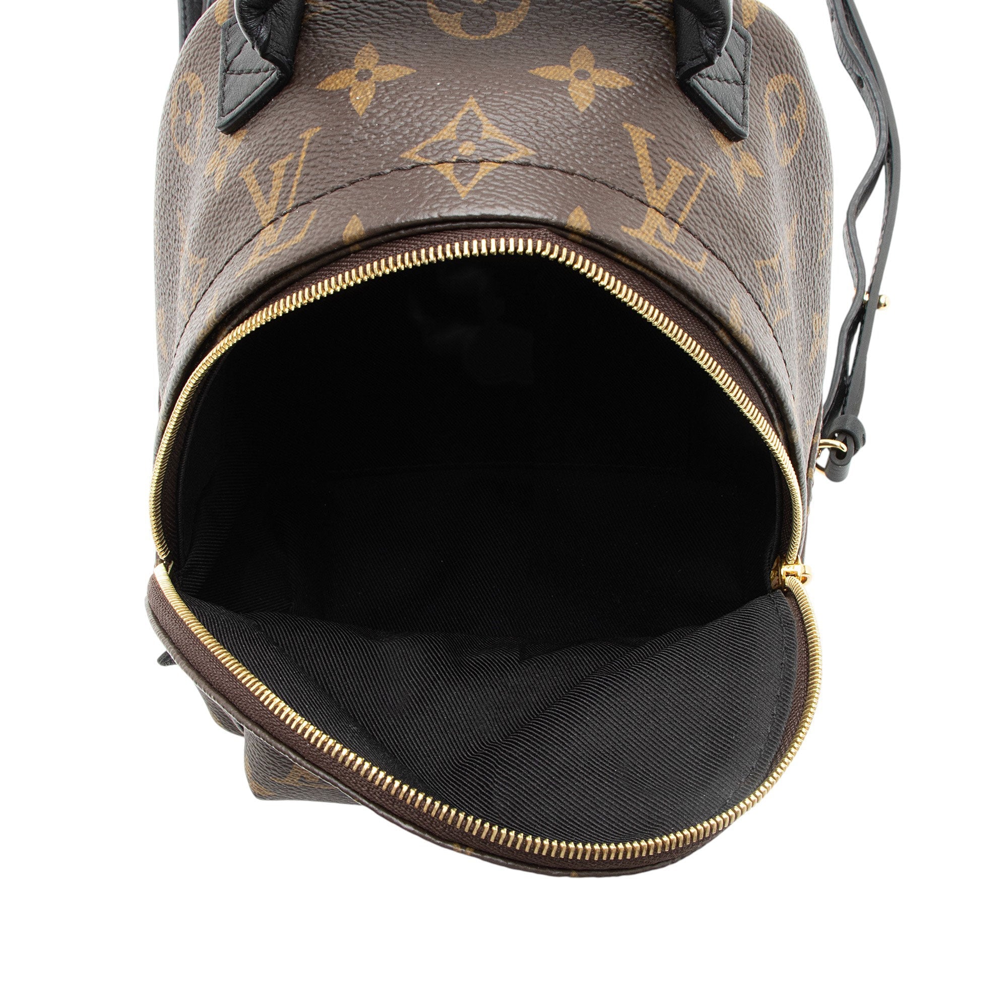 Louis Vuitton Monogram Canvas Palm Springs Mini Backpack