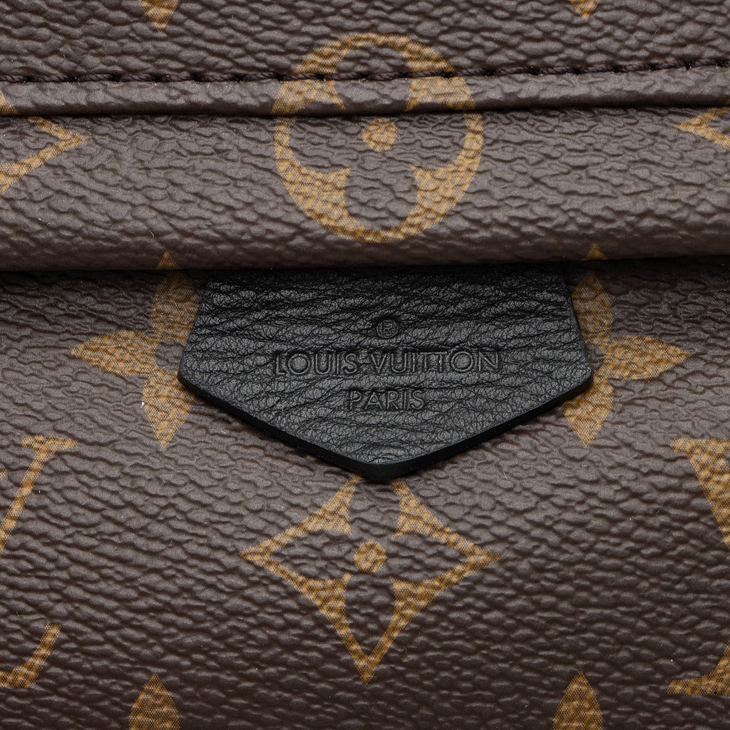 Louis Vuitton Monogram Canvas Palm Springs Mini Backpack