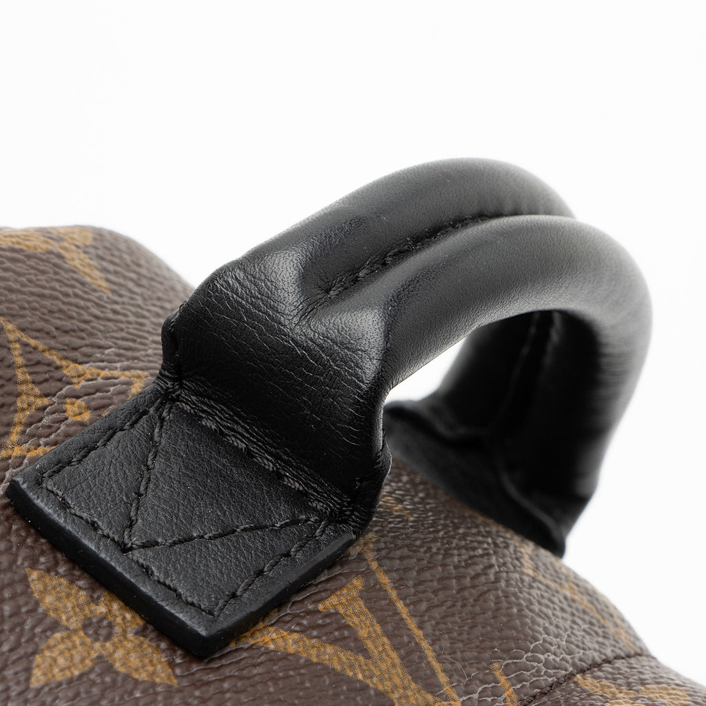 Louis Vuitton Monogram Canvas Palm Springs Mini Backpack