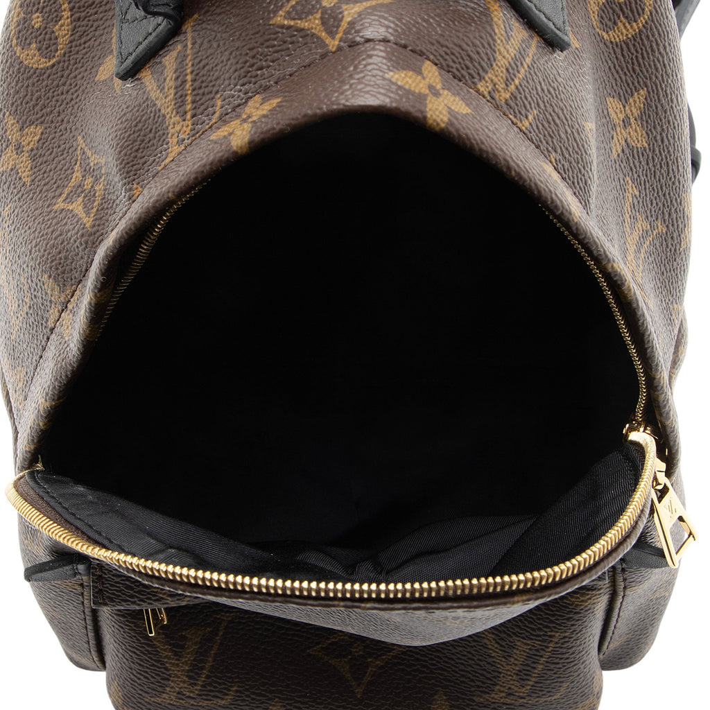 Louis Vuitton Monogram Canvas Palm Springs Mini Backpack