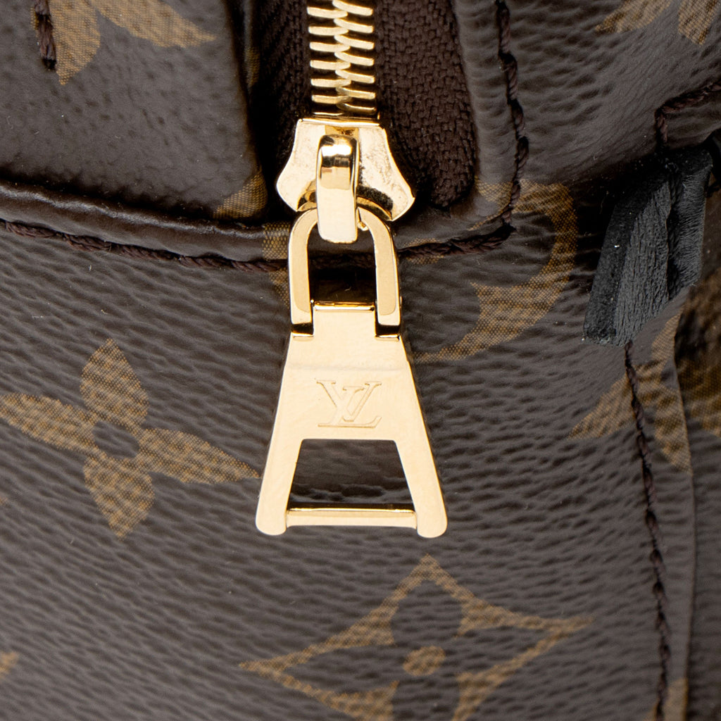 Louis Vuitton Monogram Canvas Palm Springs Mini Backpack