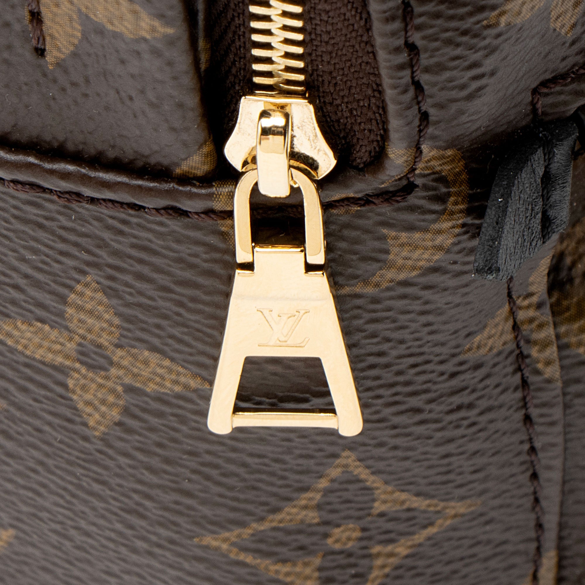 Louis Vuitton Monogram Canvas Palm Springs Mini Backpack