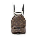 Louis Vuitton Monogram Canvas Palm Springs Mini Backpack