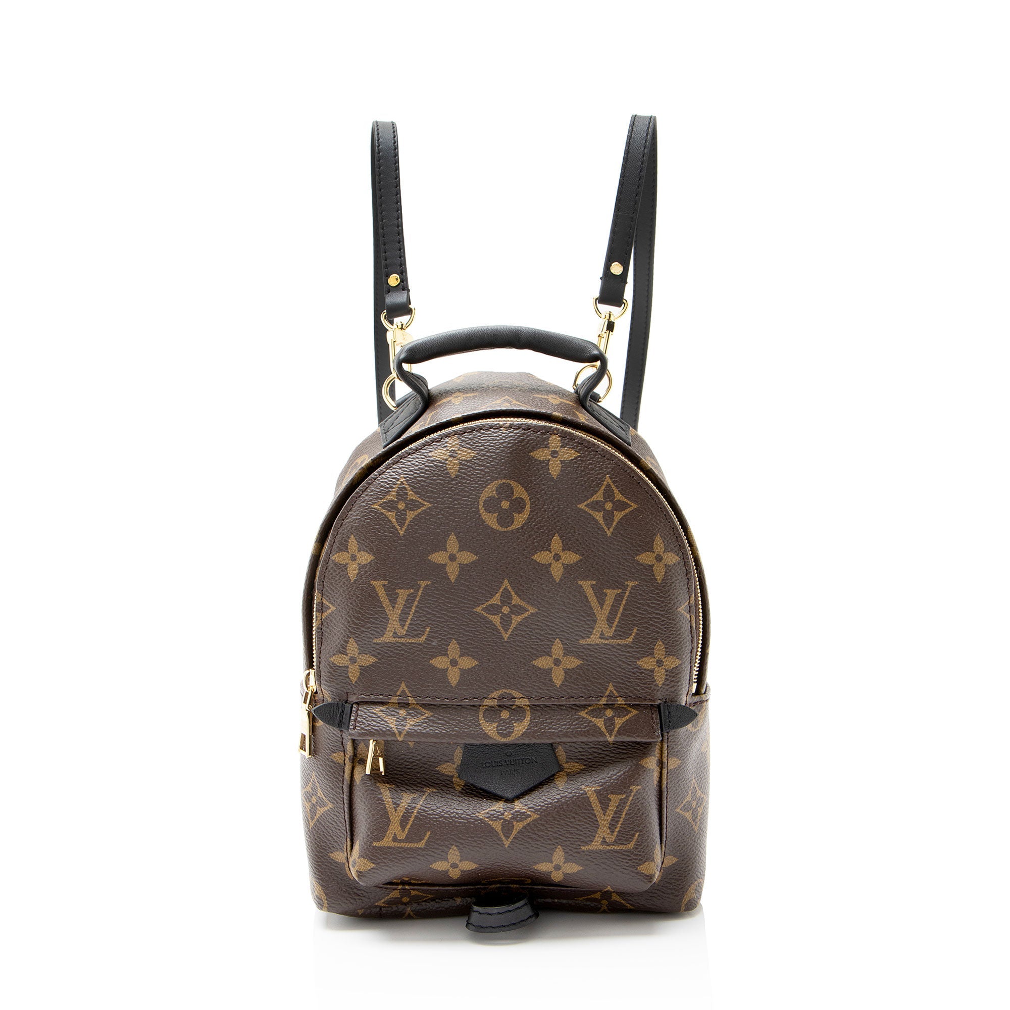 Louis Vuitton Monogram Canvas Palm Springs Mini Backpack