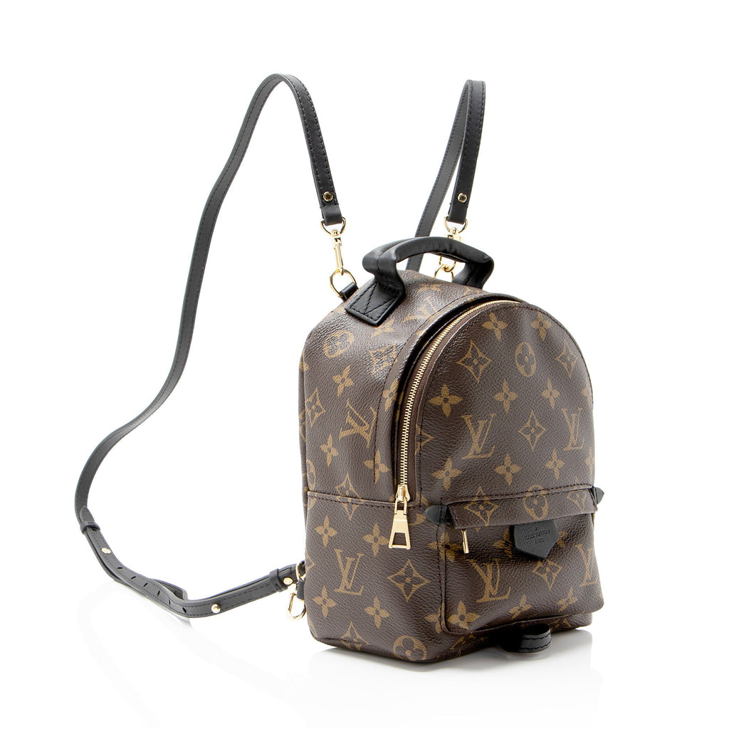 Louis Vuitton Monogram Canvas Palm Springs Mini Backpack