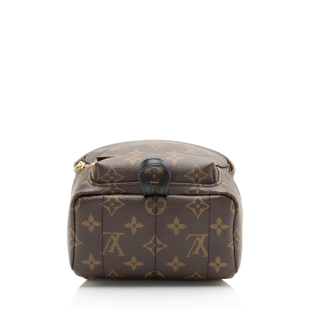 Louis Vuitton Monogram Canvas Palm Springs Mini Backpack