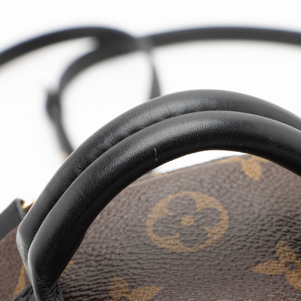 Louis Vuitton Monogram Canvas Palm Springs Mini Backpack
