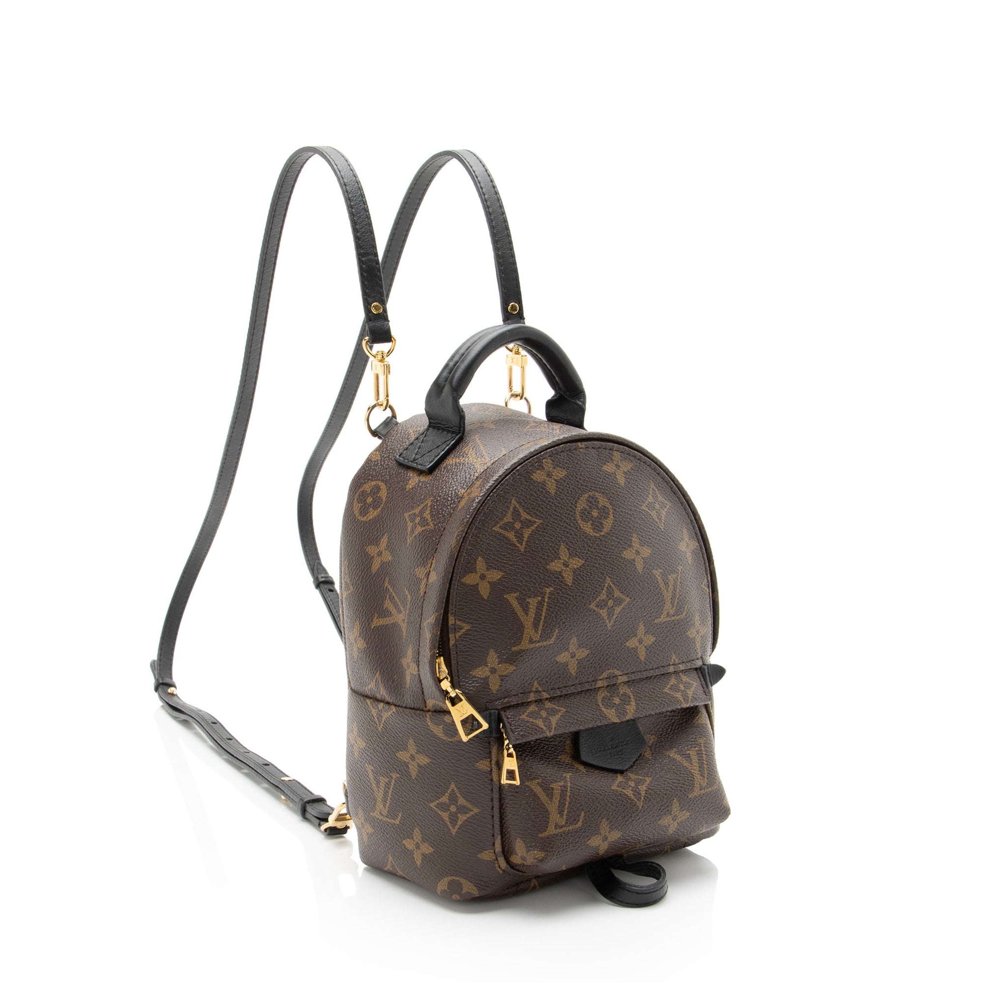 Louis Vuitton Monogram Canvas Palm Springs Mini Backpack