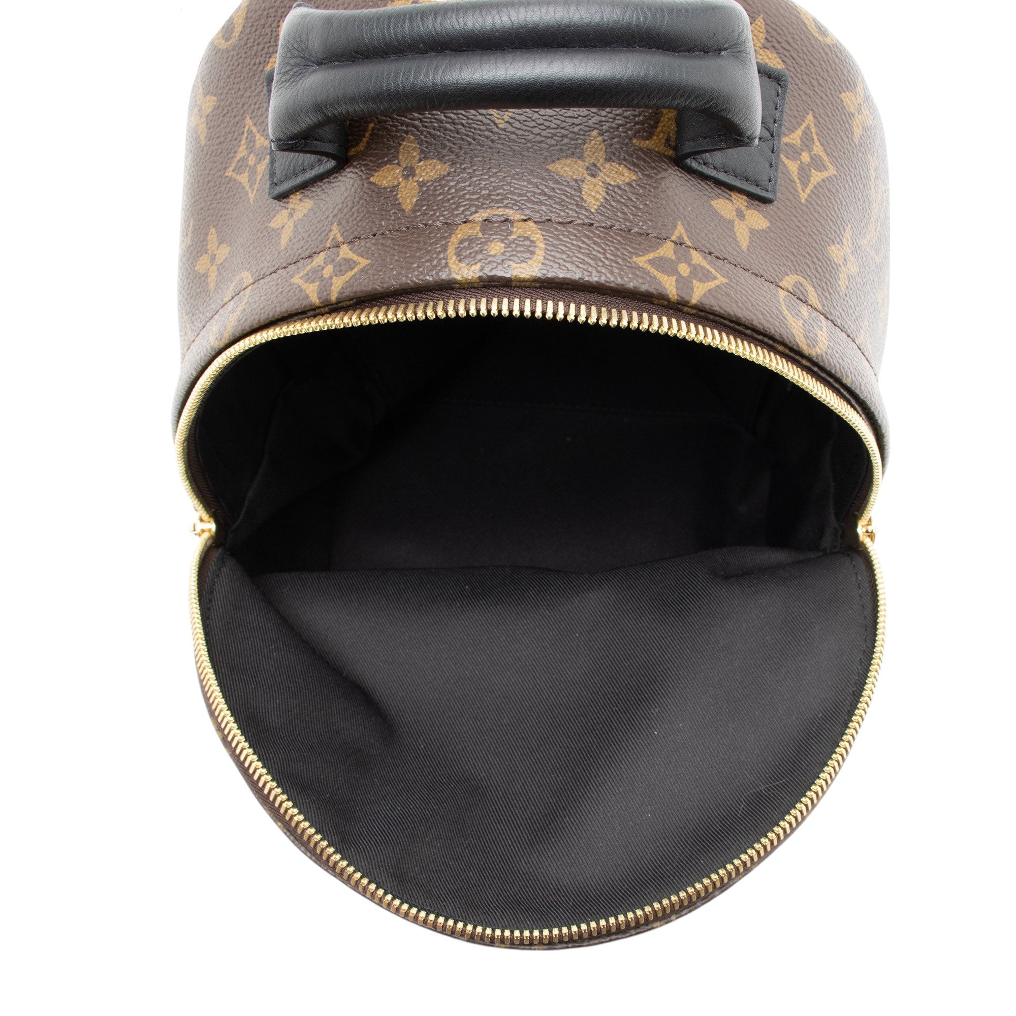 Louis Vuitton Monogram Canvas Palm Springs PM Backpack