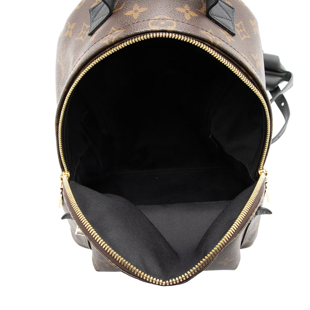 Louis Vuitton Monogram Canvas Palm Springs PM Backpack