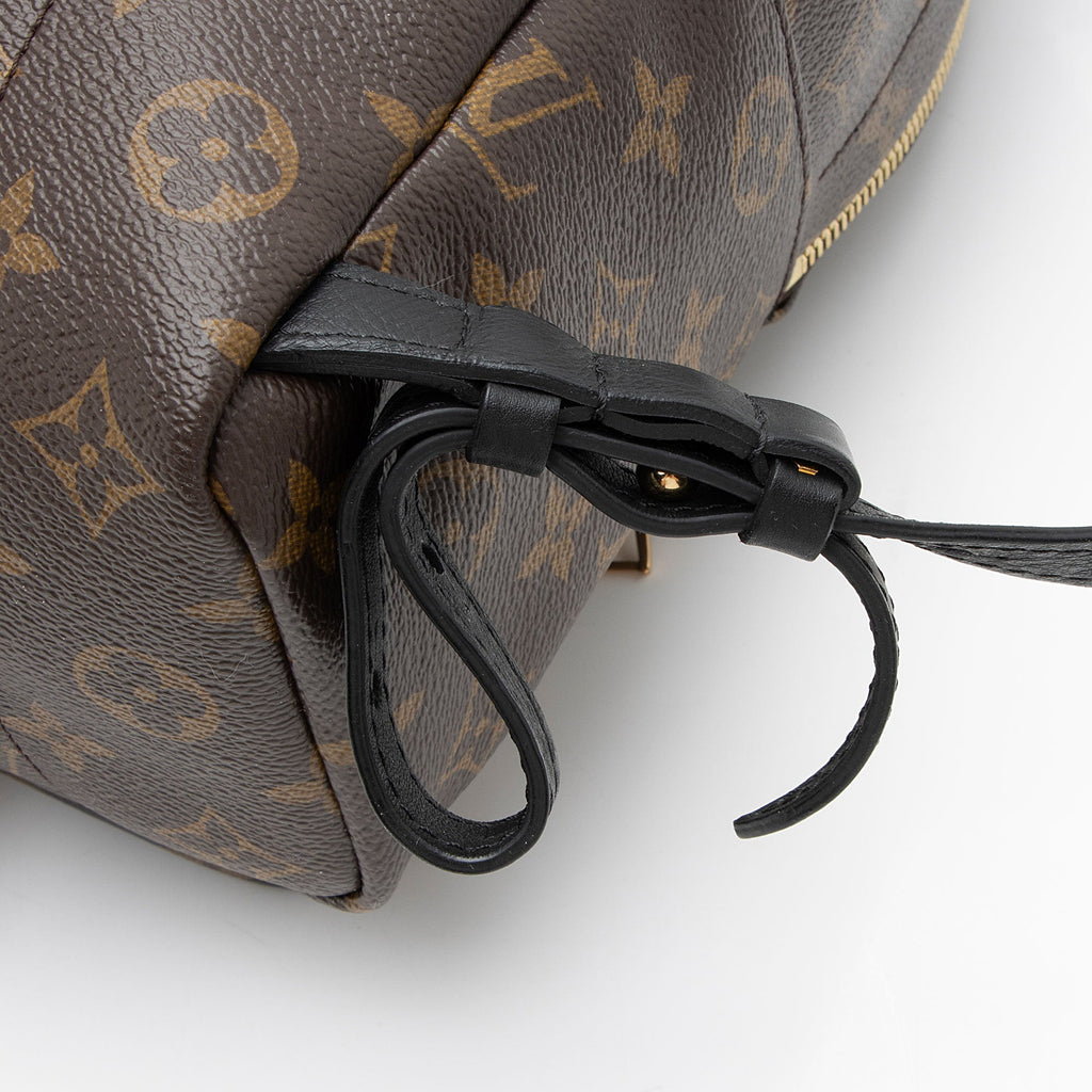Louis Vuitton Monogram Canvas Palm Springs PM Backpack