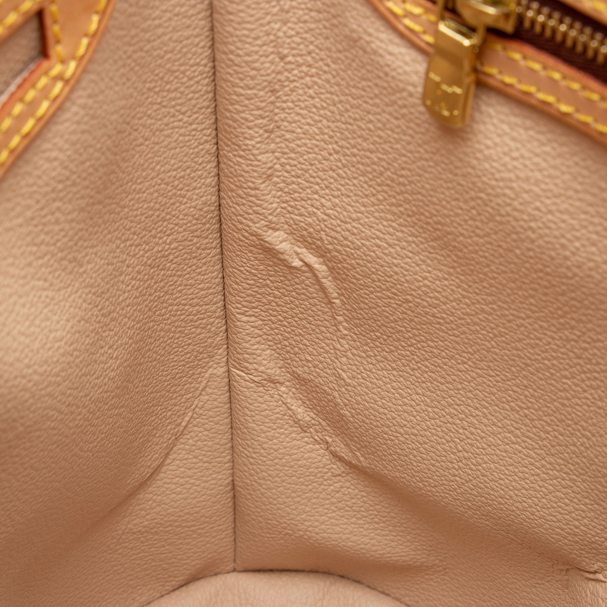 Louis Vuitton Monogram Canvas Petit Bucket Tote