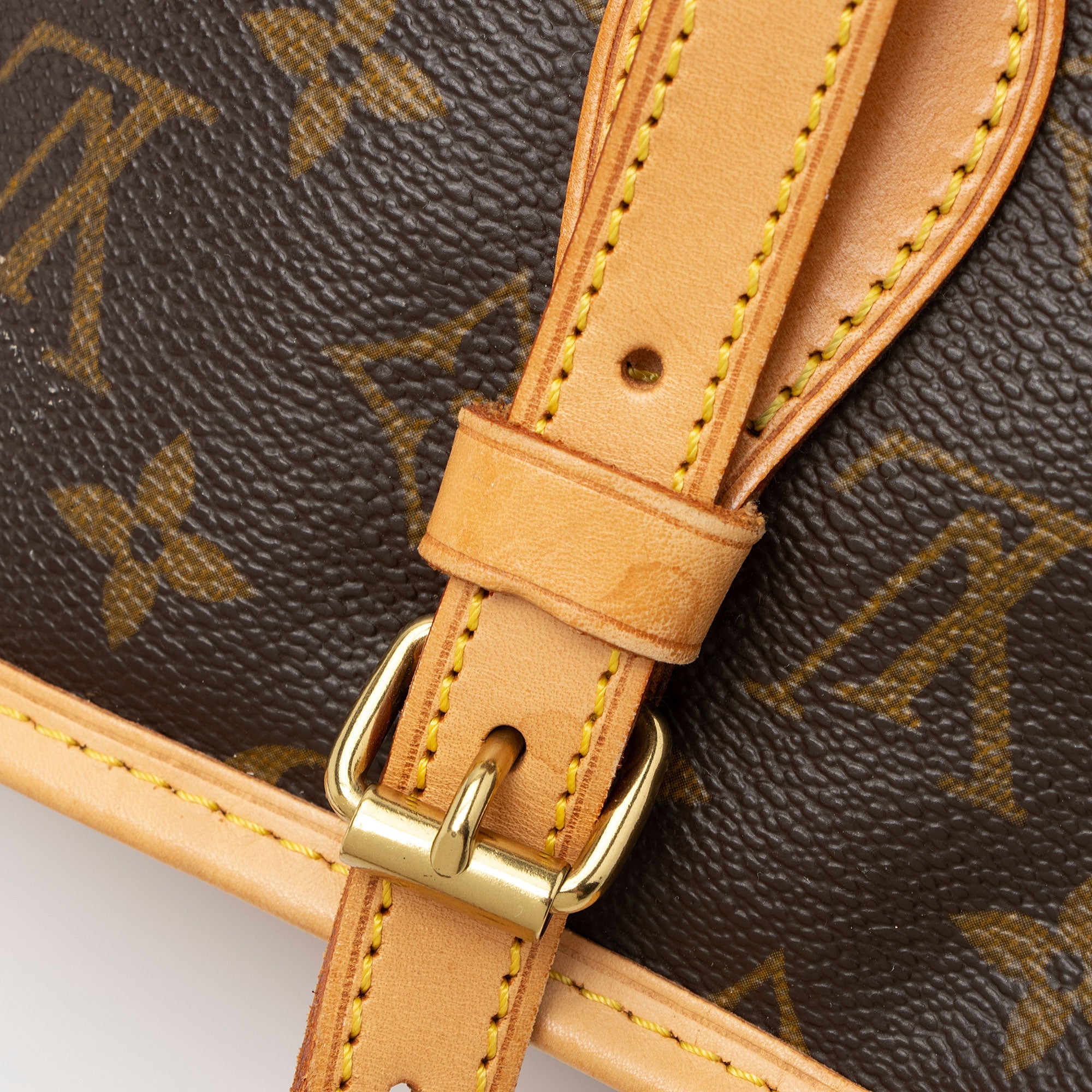 Louis Vuitton Monogram Canvas Petit Bucket Tote