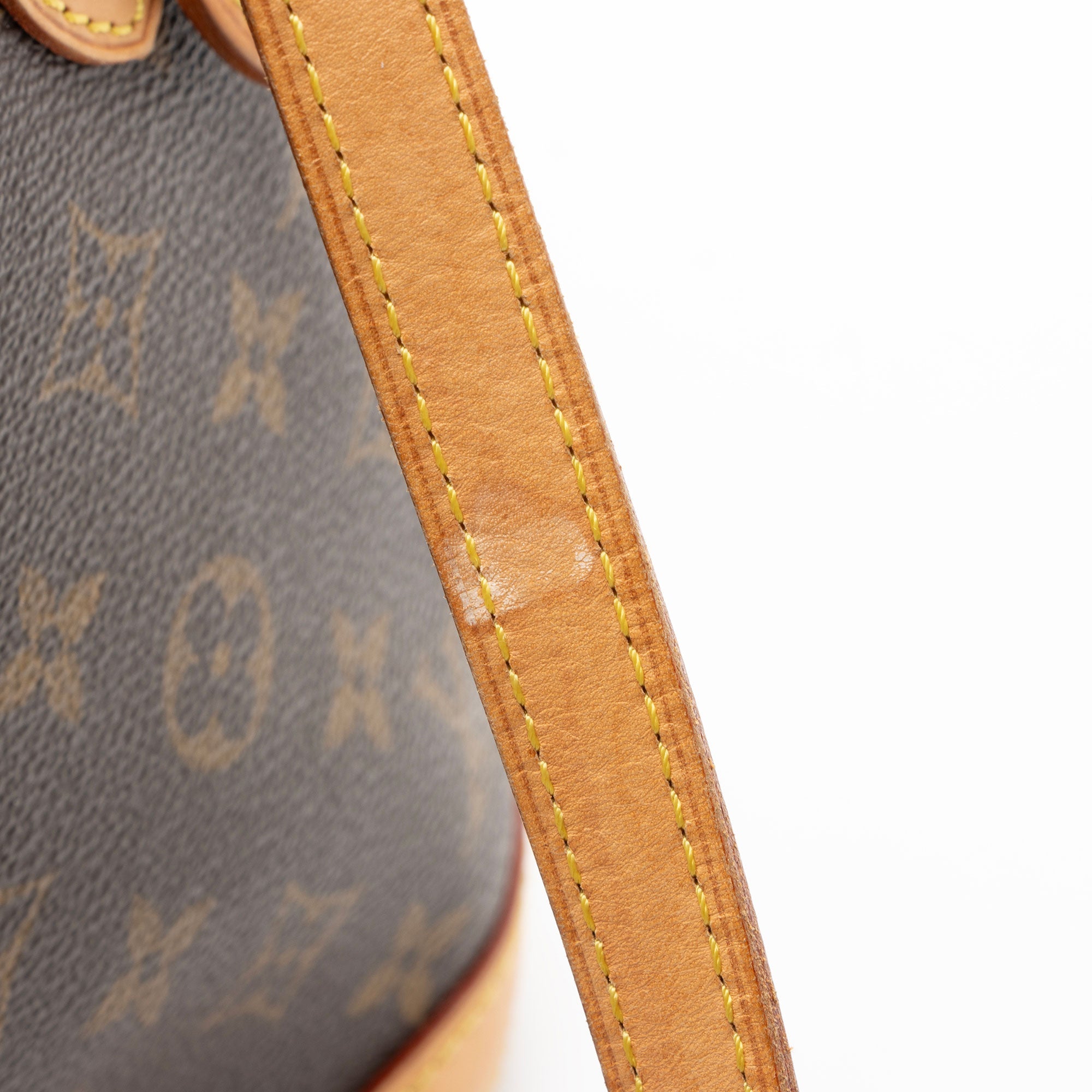 Louis Vuitton Monogram Canvas Petit Bucket Tote