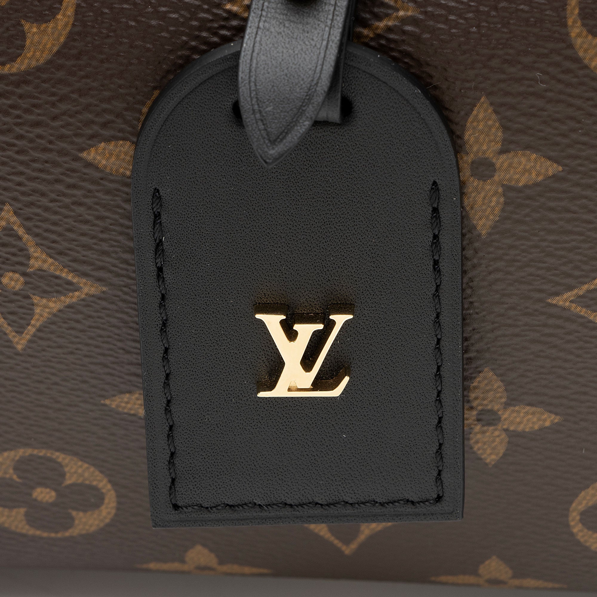 Louis Vuitton Monogram Canvas Petite Malle Souple Satchel
