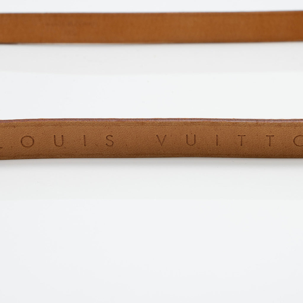 Louis Vuitton Monogram Canvas Pochette Florentine Small Belt Bag (SHF-YFDE2f)