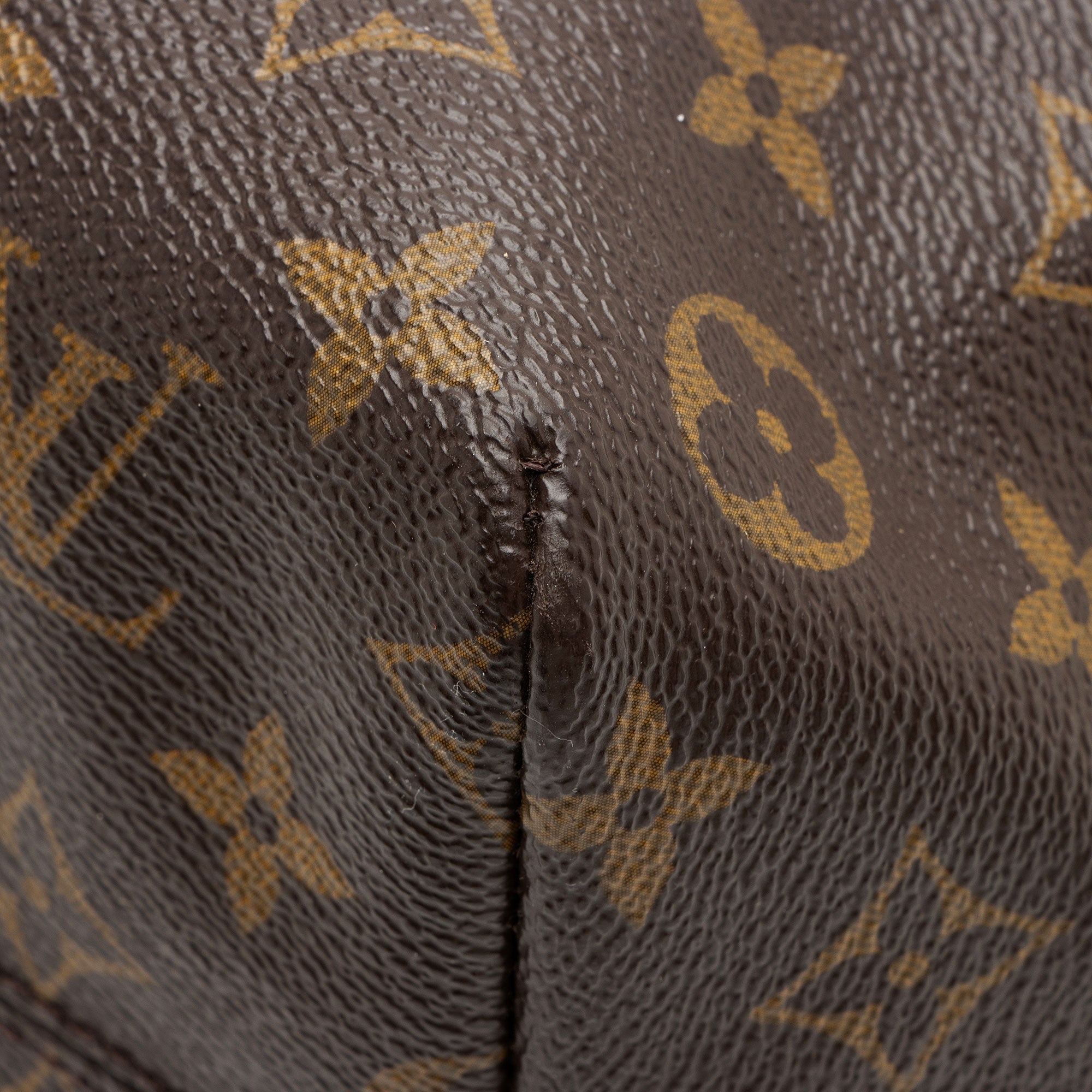 Louis Vuitton Monogram Canvas Raspail PM Tote