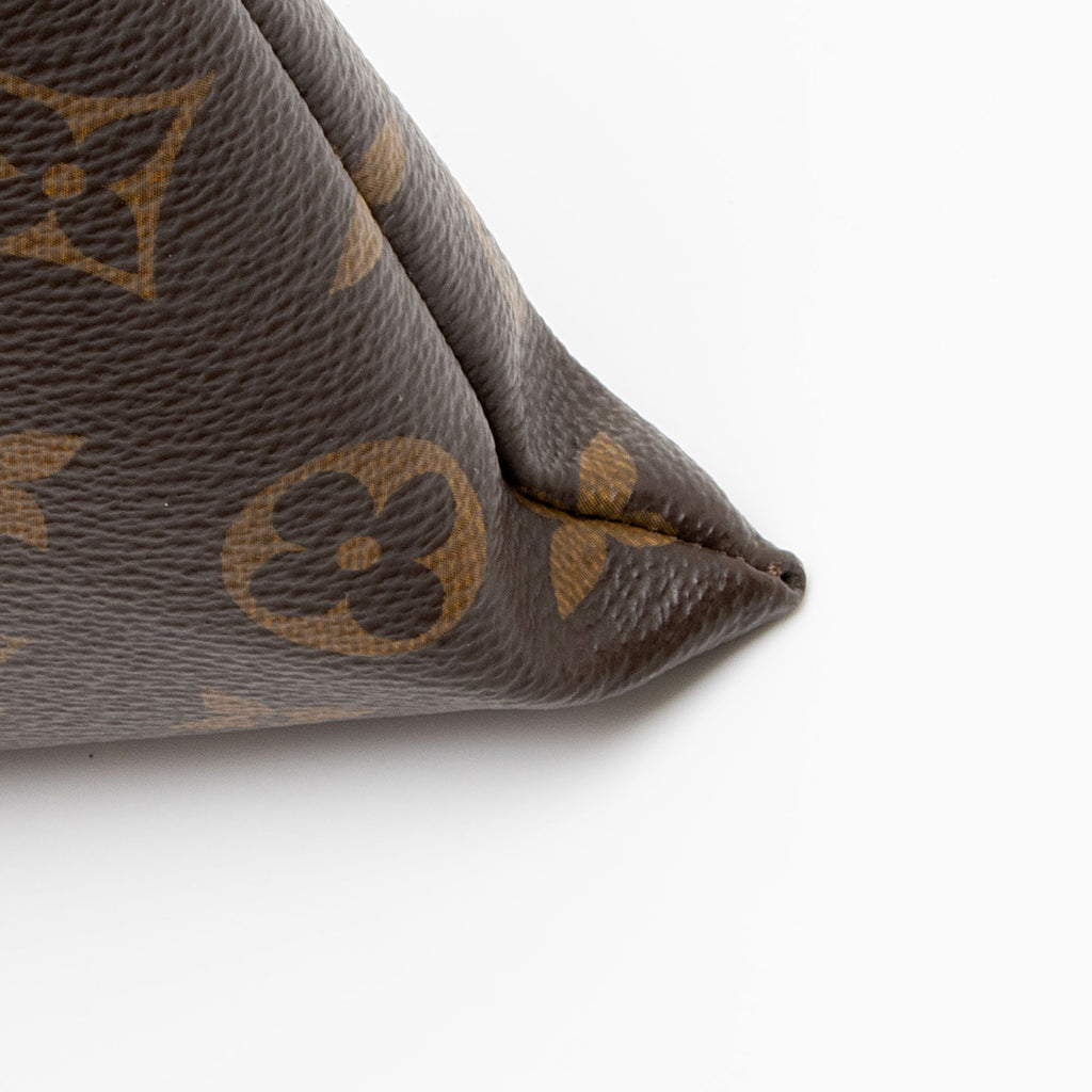 Louis Vuitton Monogram Canvas Solar Ray Pouch