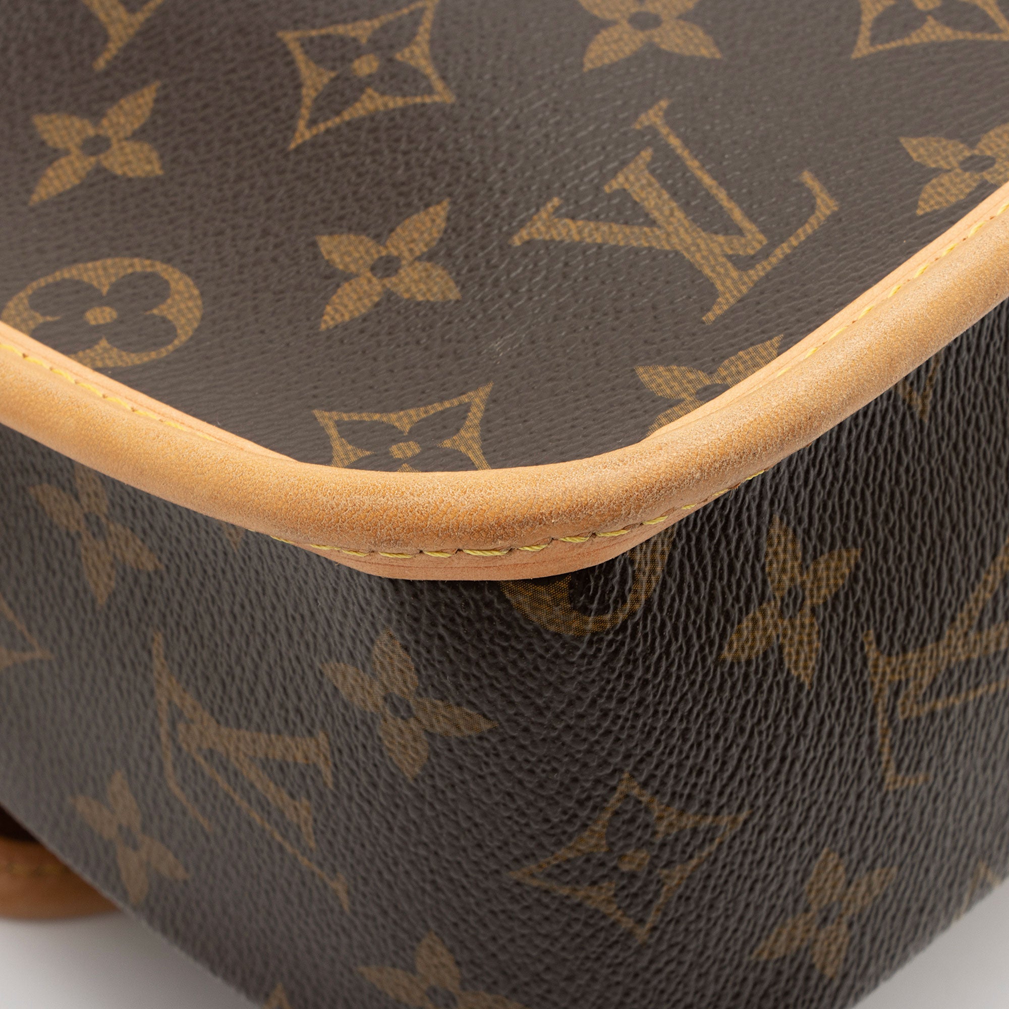 Louis Vuitton Monogram Canvas Sologne Shoulder Bag