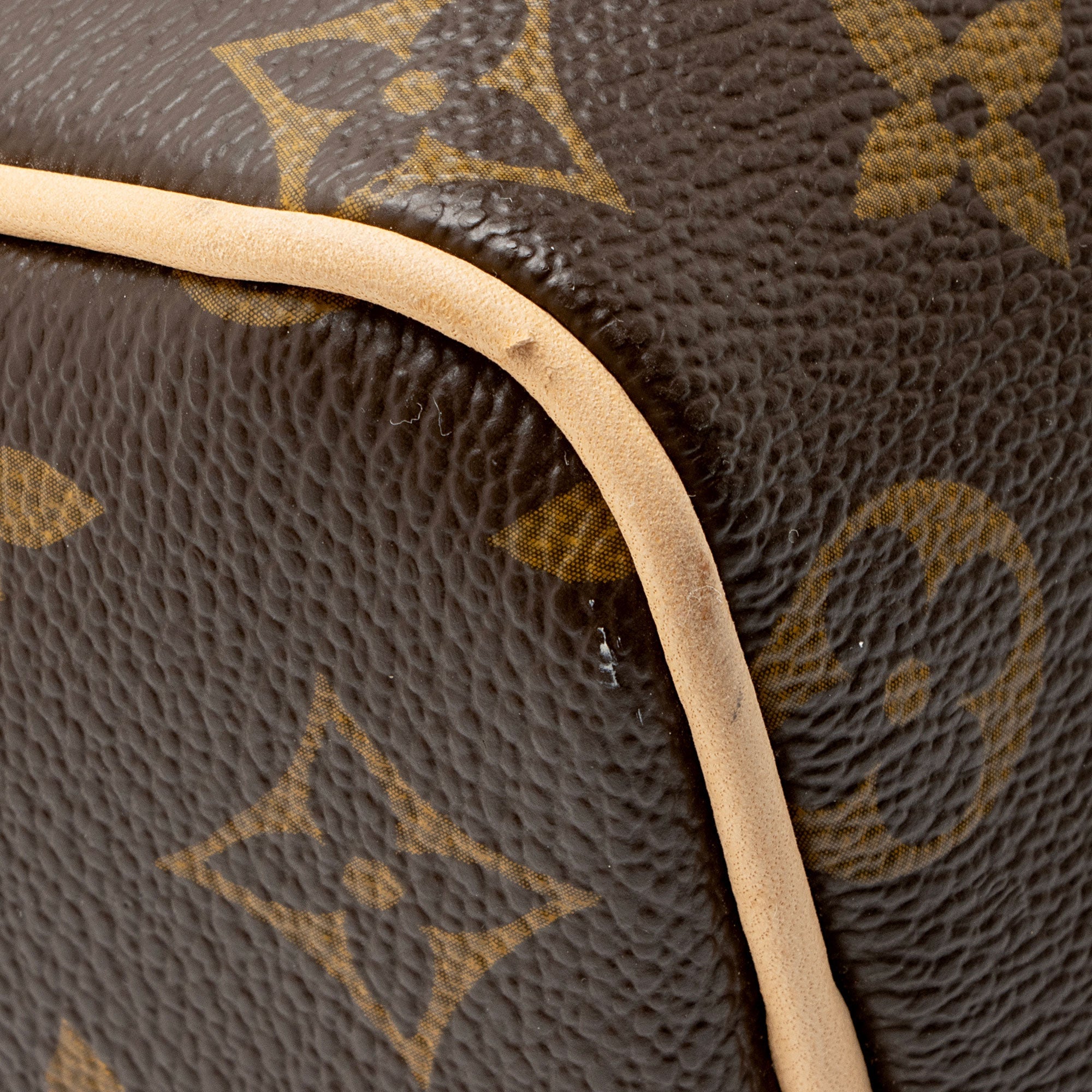 Louis Vuitton Monogram Canvas Speedy 25 Satchel