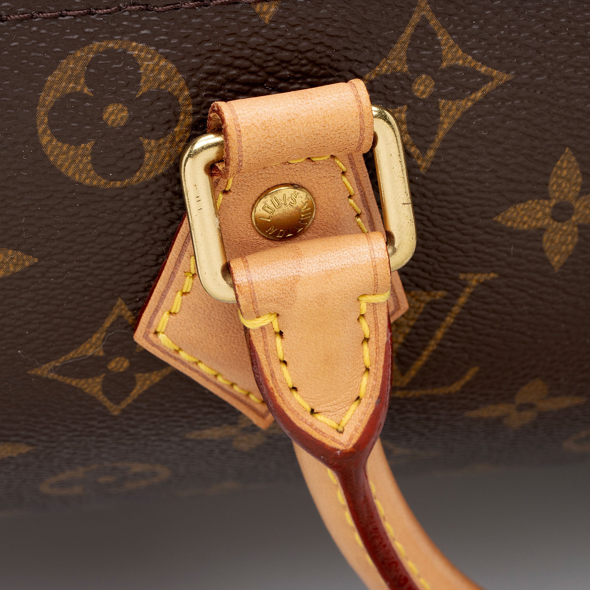 Louis Vuitton Monogram Canvas Speedy 30 Satchel