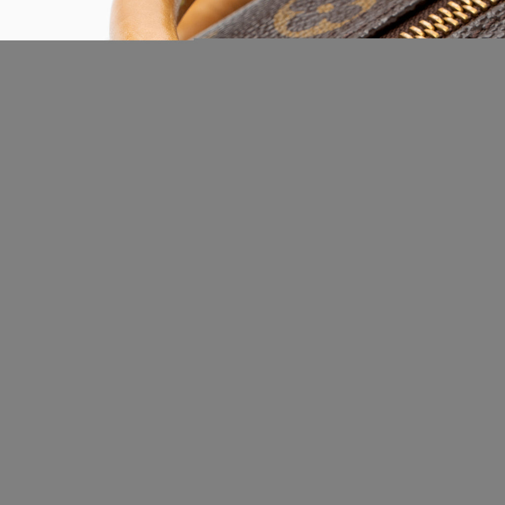 Louis Vuitton Monogram Canvas Speedy 30 Satchel