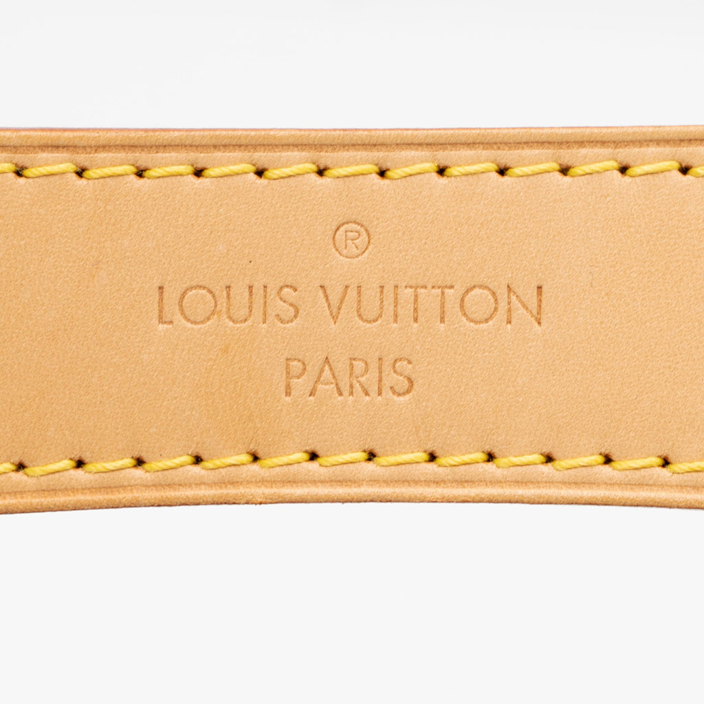 Louis Vuitton Monogram Canvas Sully PM Shoulder Bag (SHF-SVXZ9s)