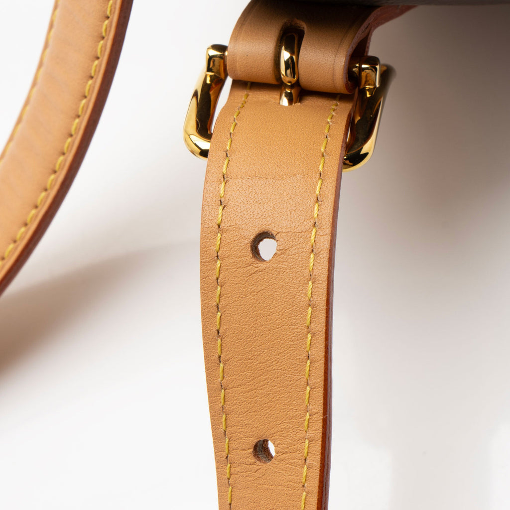 Louis Vuitton Monogram Canvas Tambourin Shoulder Bag