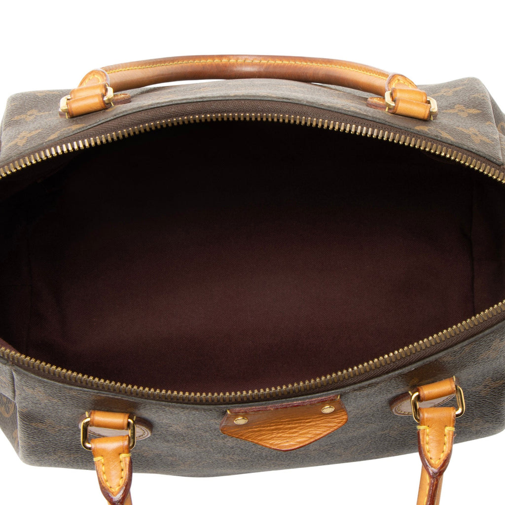 Louis Vuitton Monogram Canvas Turenne MM Satchel