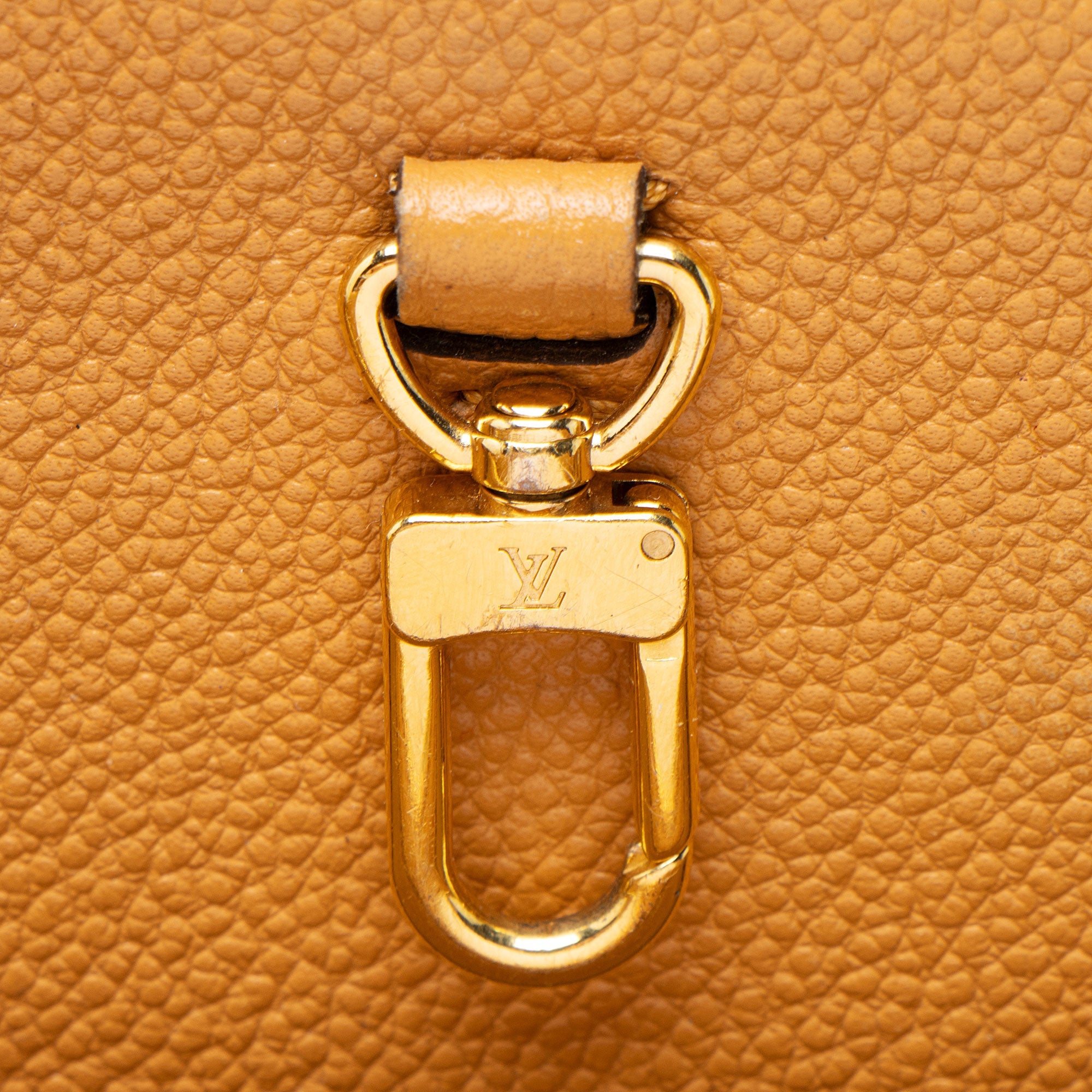 Louis Vuitton Monogram Canvas Venus Satchel