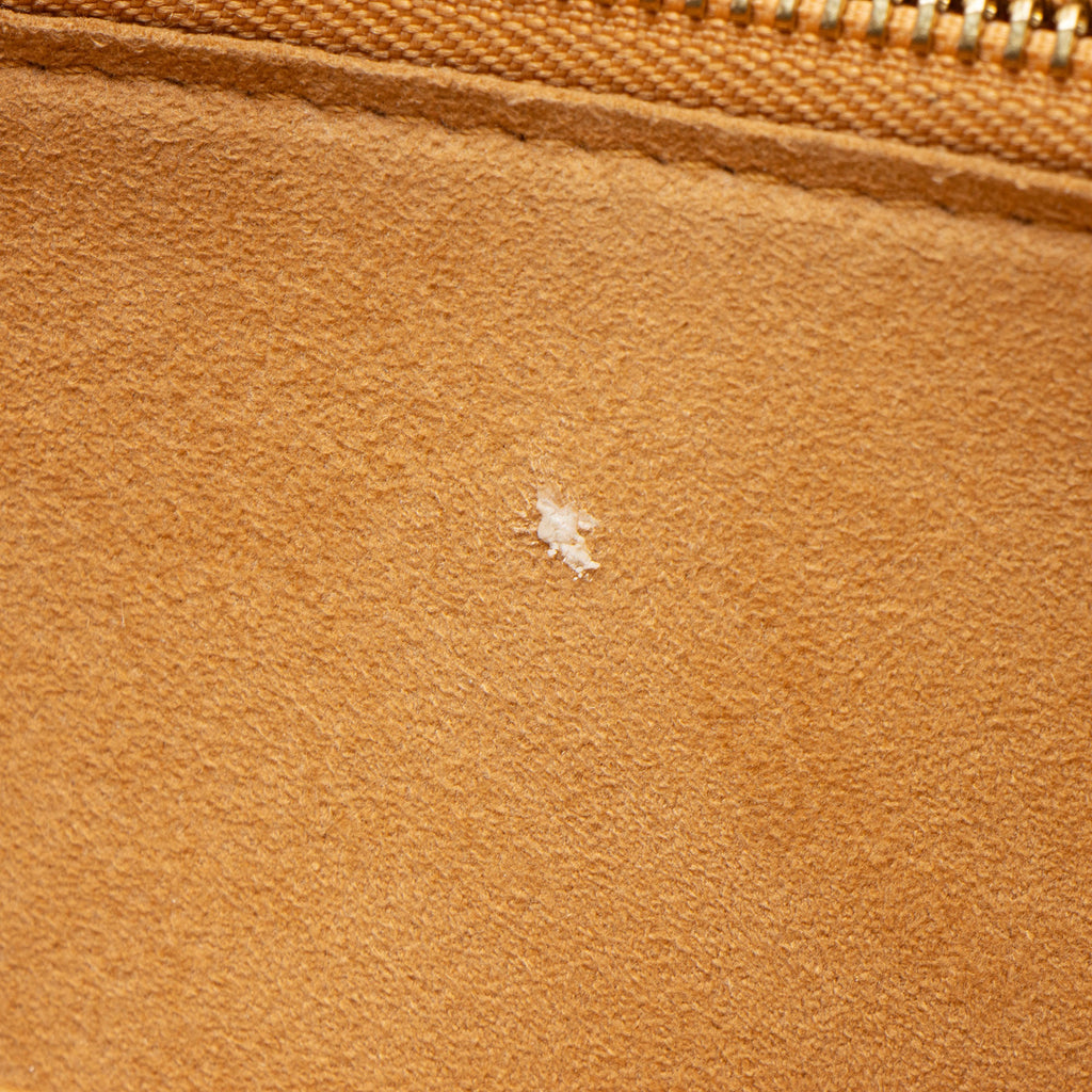 Louis Vuitton Monogram Canvas Venus Satchel