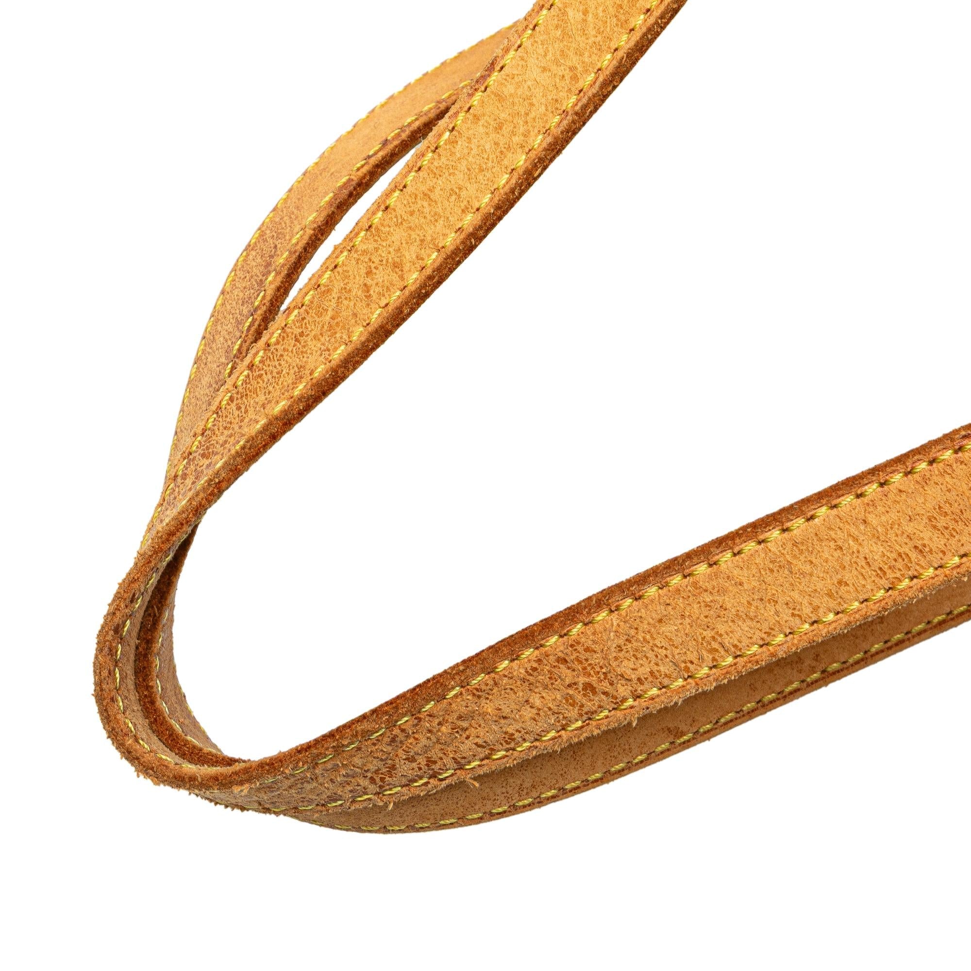 Louis Vuitton Monogram Cite GM