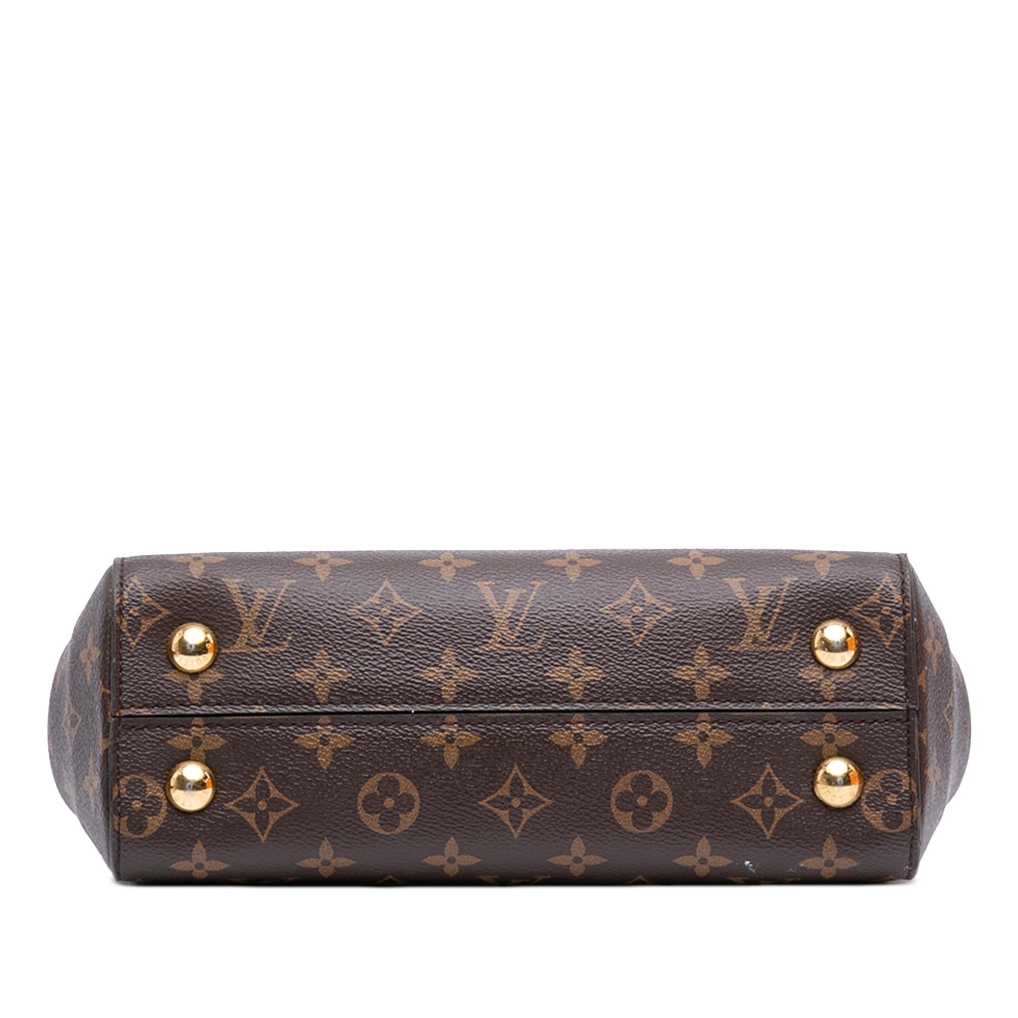 Louis Vuitton Monogram Cluny BB