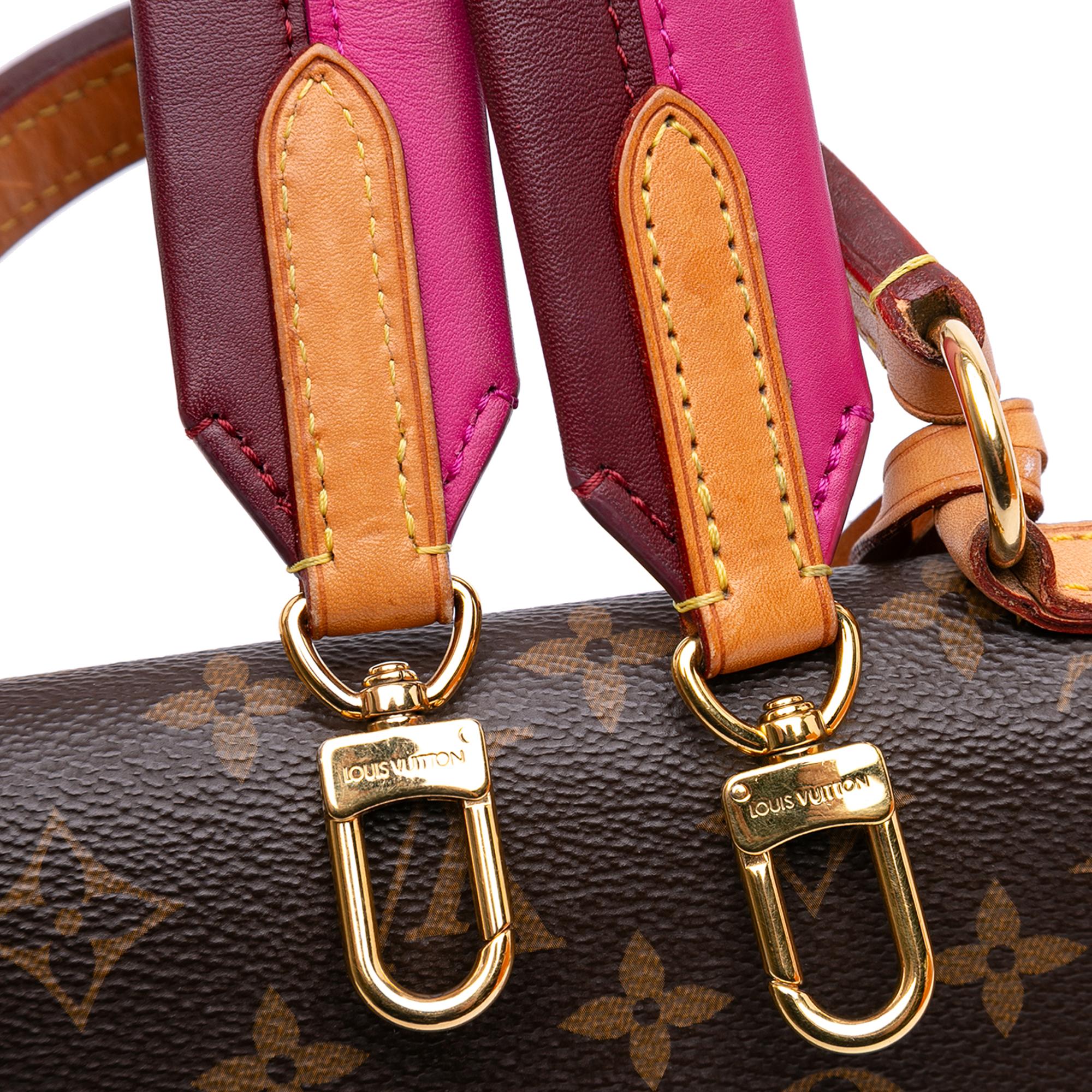 Louis Vuitton Monogram Cluny BB