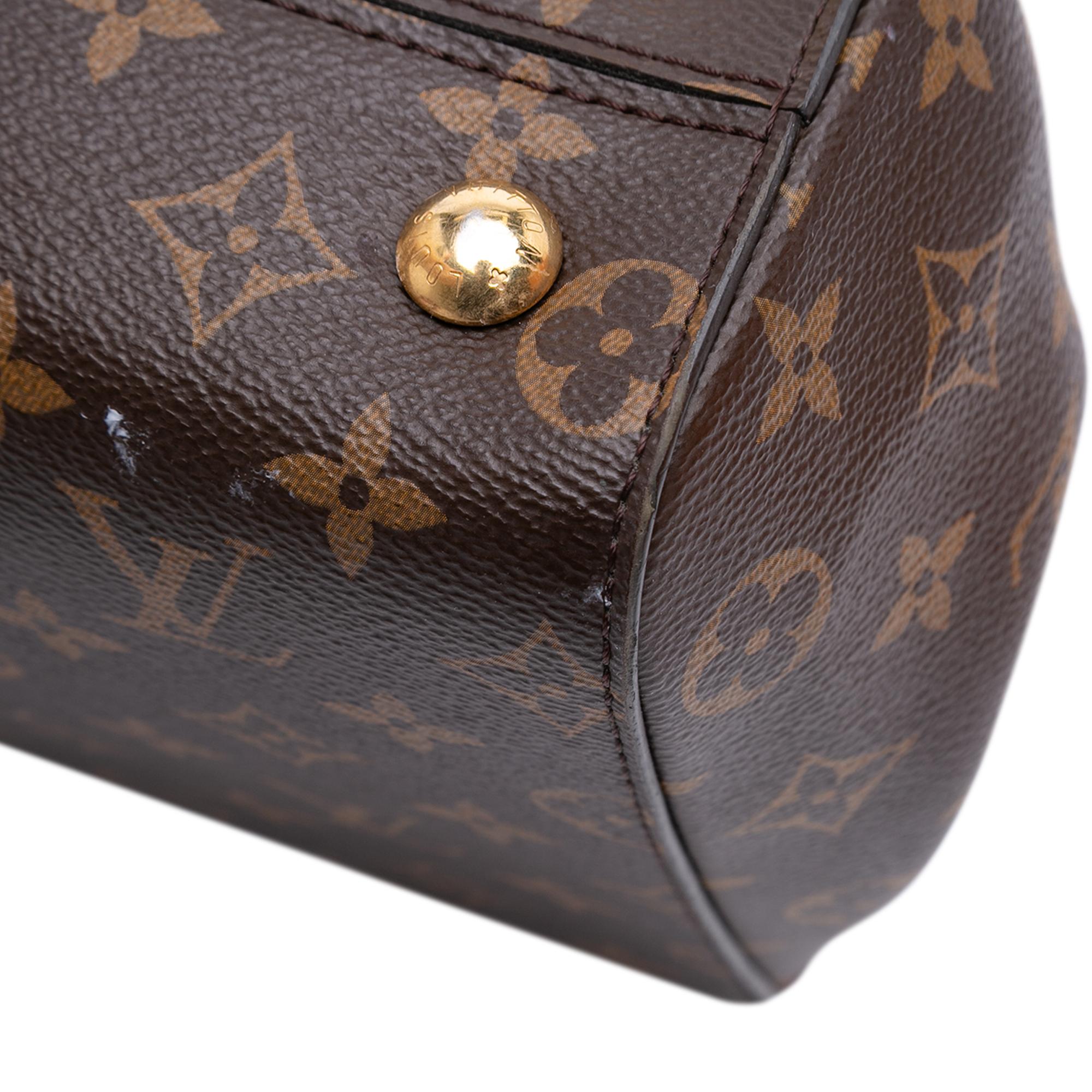 Louis Vuitton Monogram Cluny BB