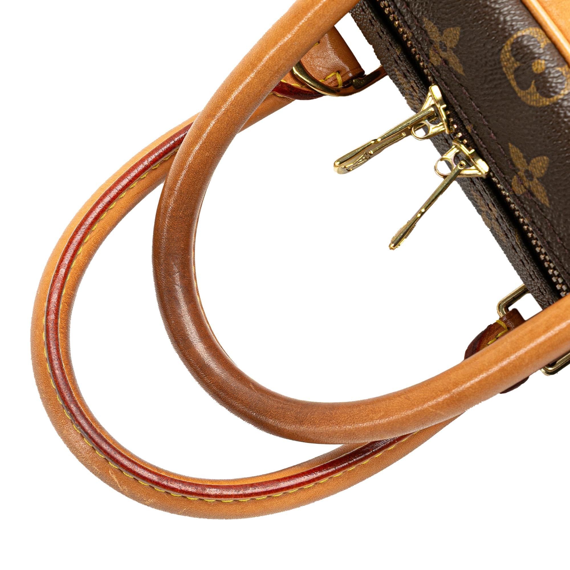 Louis Vuitton Monogram Deauville