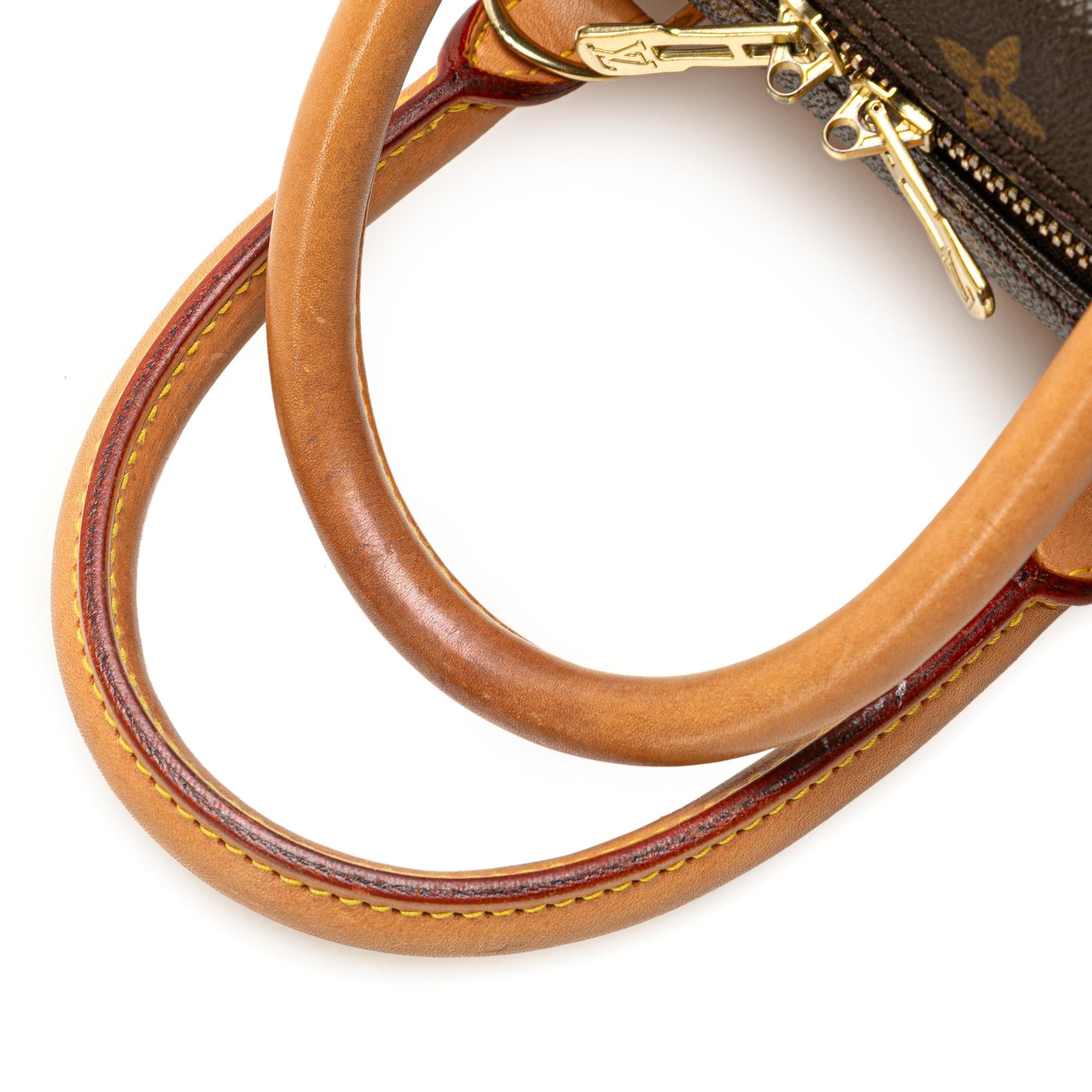 Louis Vuitton Monogram Deauville