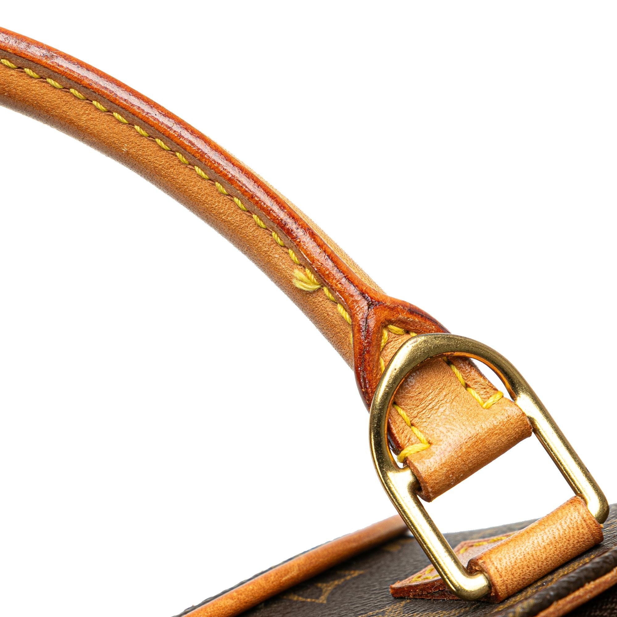Louis Vuitton Monogram Ellipse PM