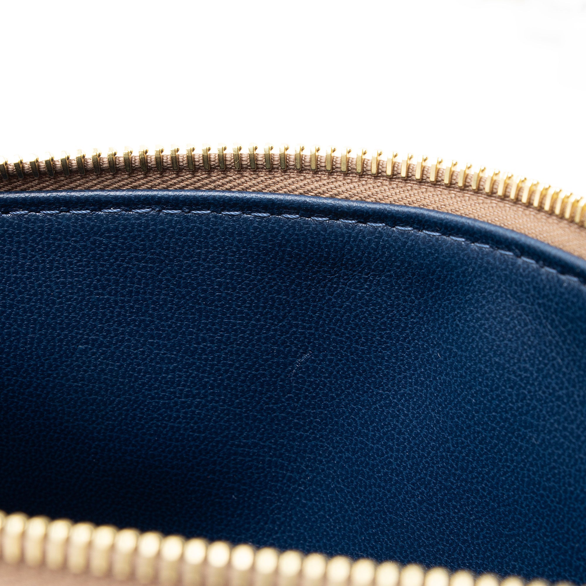 Louis Vuitton Monogram Embossed Lambskin Coussin PM Shoulder Bag
