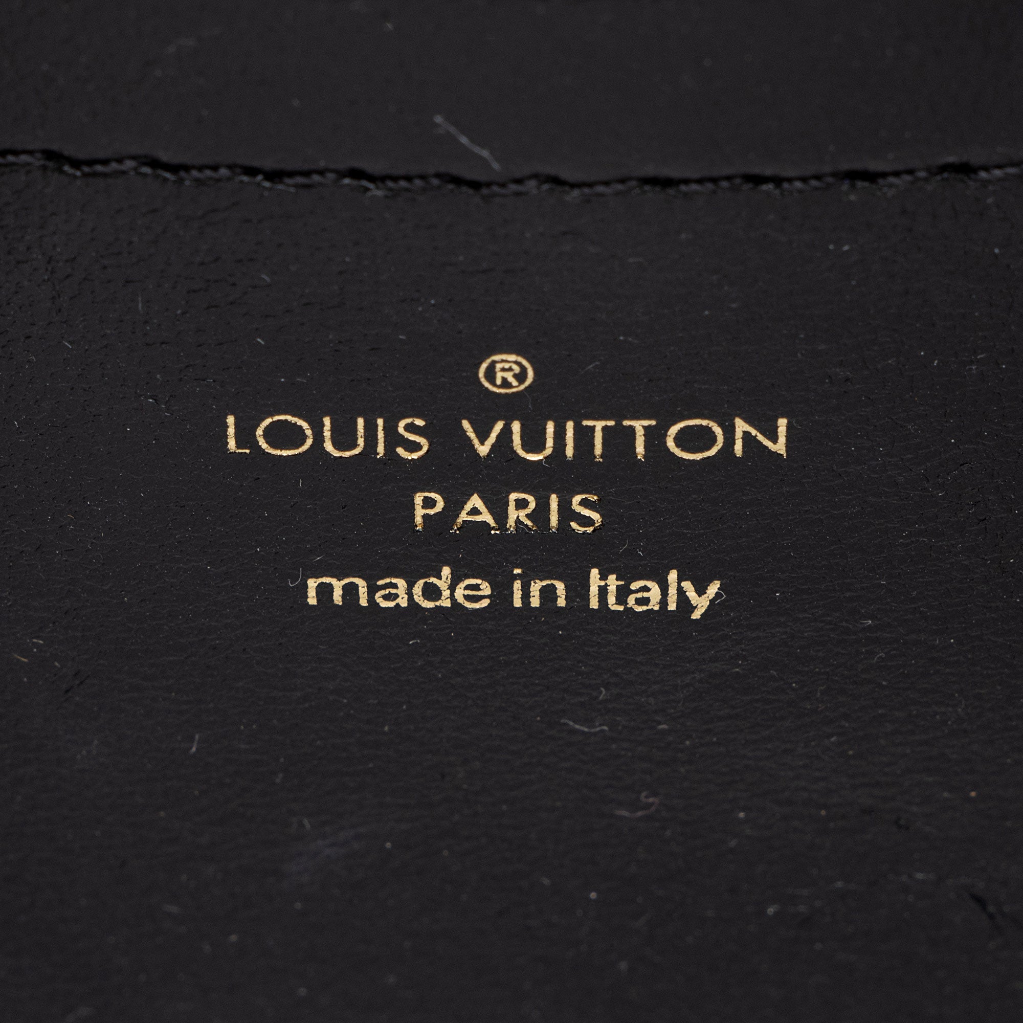 Louis Vuitton Monogram Embossed Lambskin Coussin Pochette