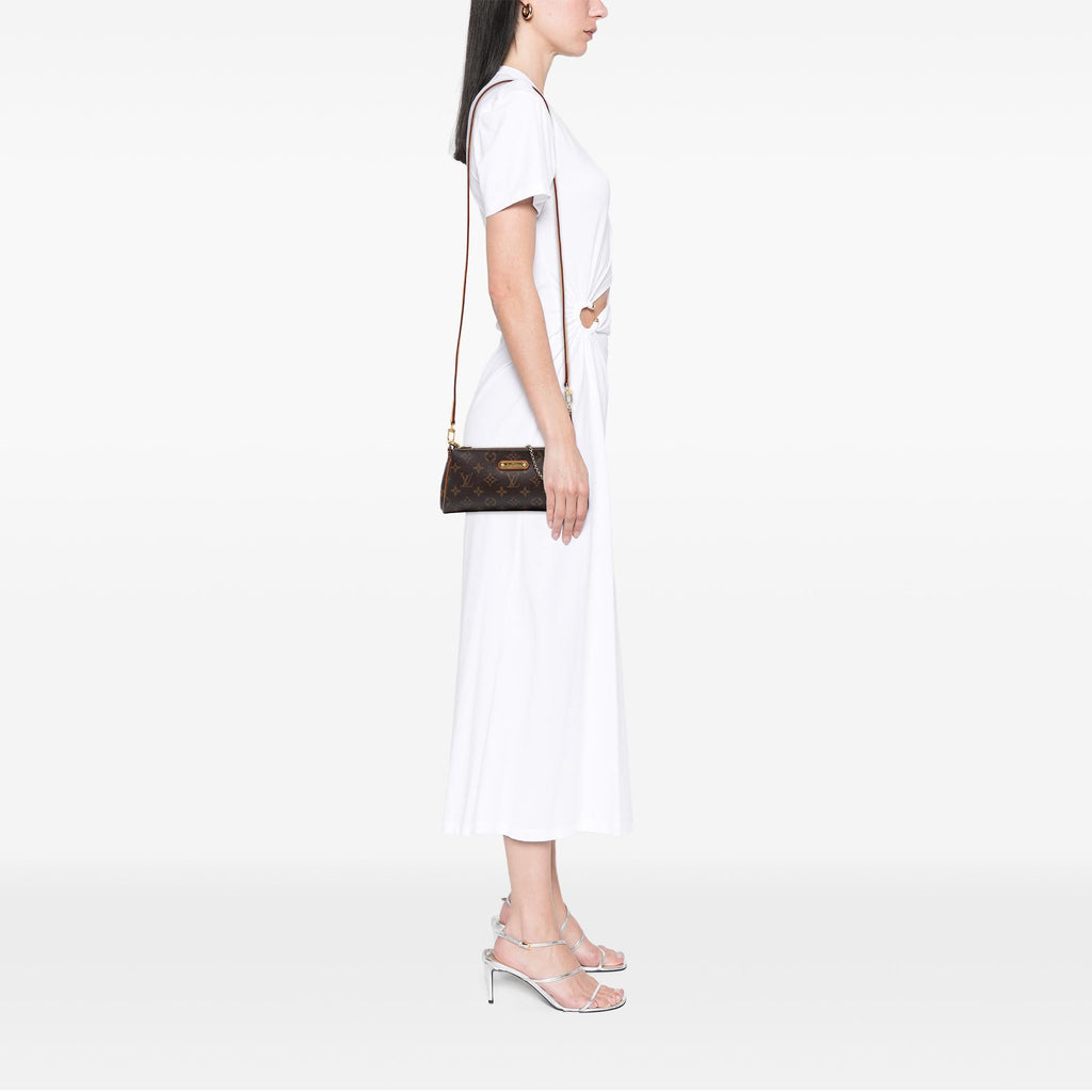 Louis Vuitton Monogram Eva